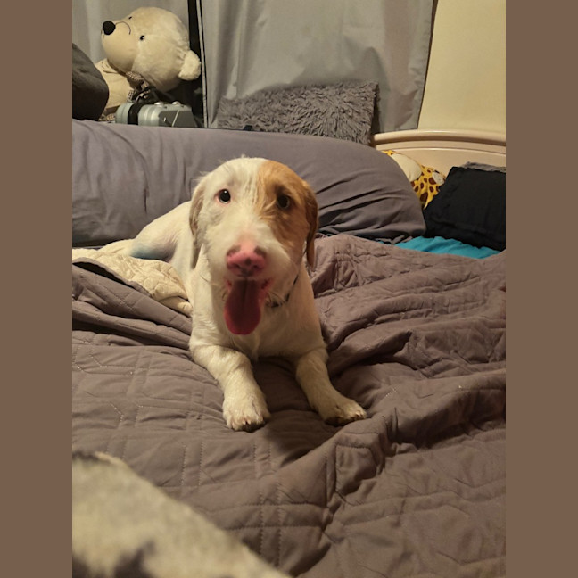 Photo of Zig