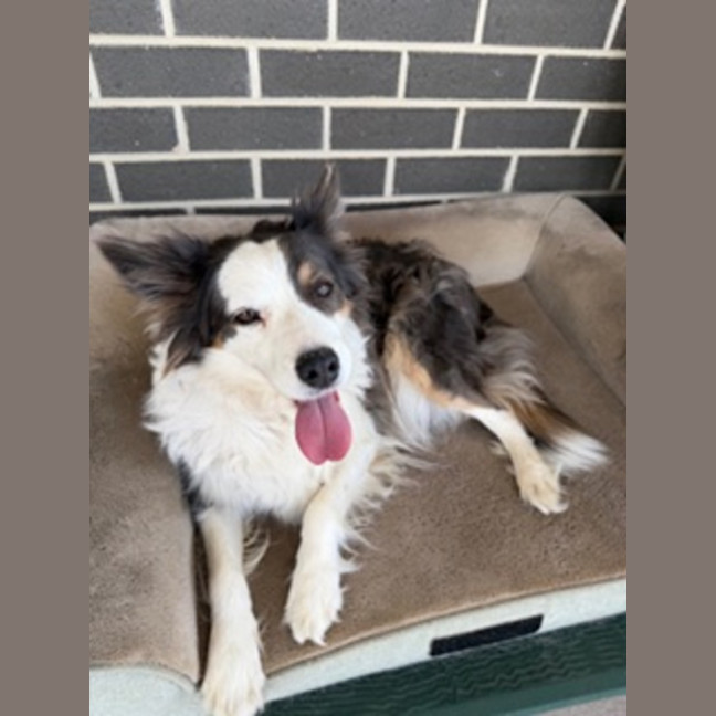 Photo of Bella 