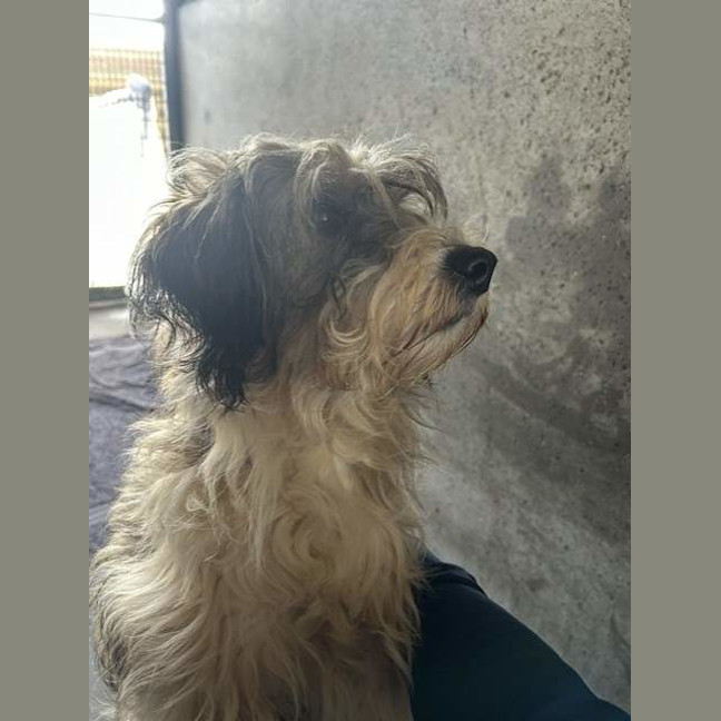 Photo of Storm