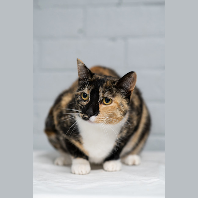 Photo of Bonnie