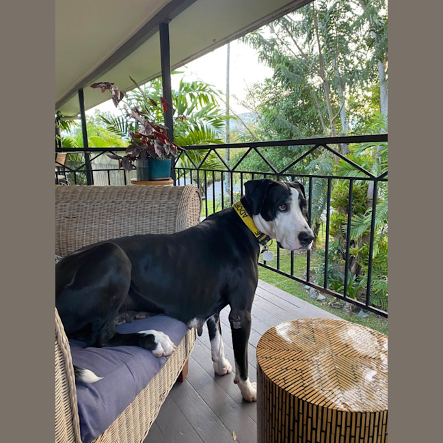 Photo of Doofy