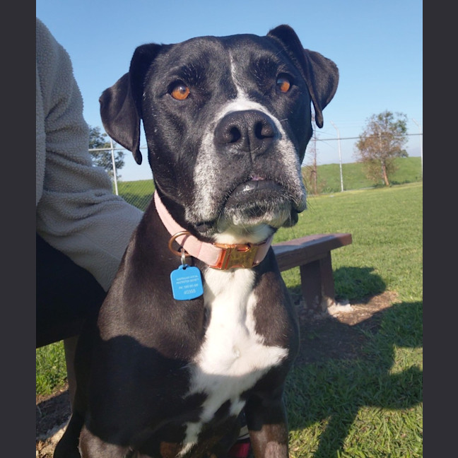 Photo of Bonnie