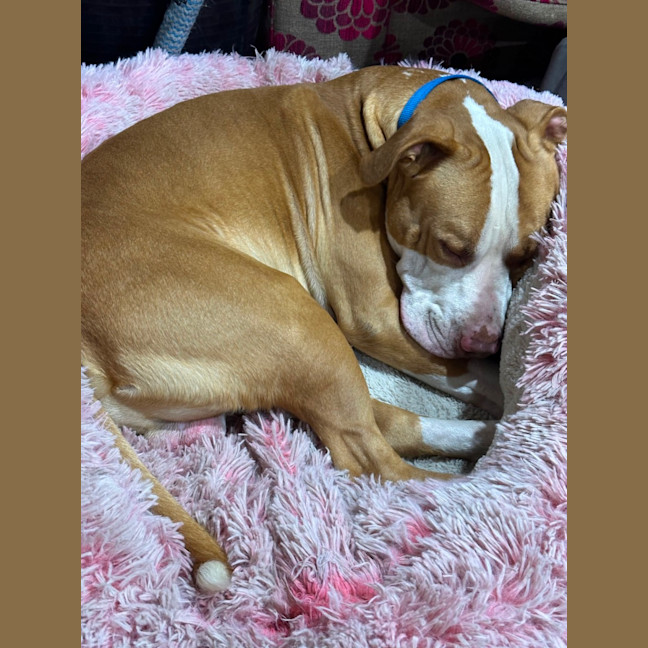 Photo of Zipper