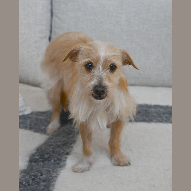Photo of Jolene