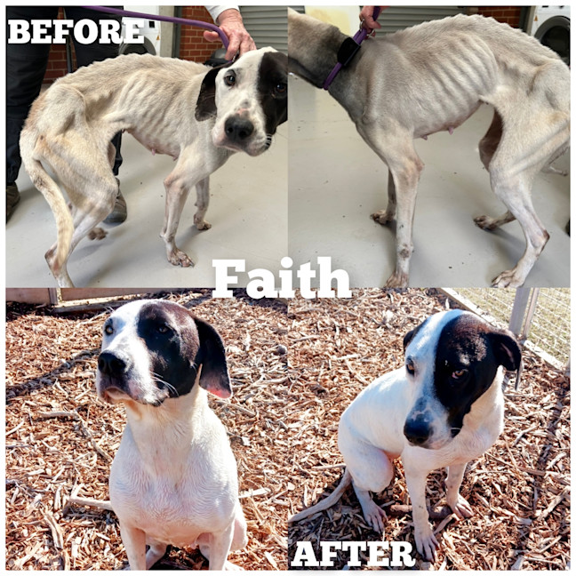 Photo of Faith