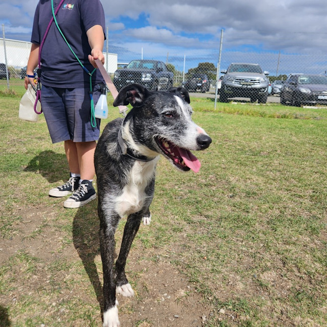 Photo of Minnie (55364)