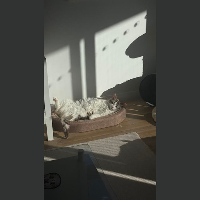 Photo of Millie