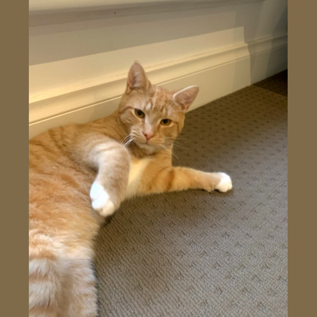 Photo of Sammy