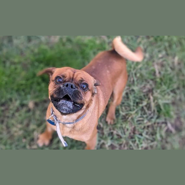 Photo of Mason