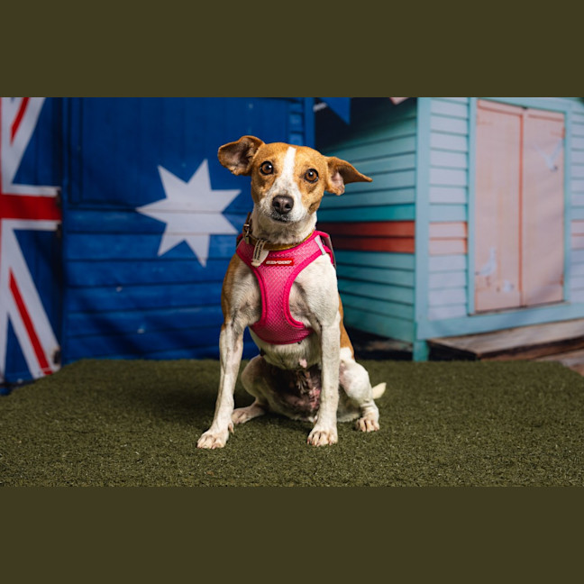 Photo of Bailee