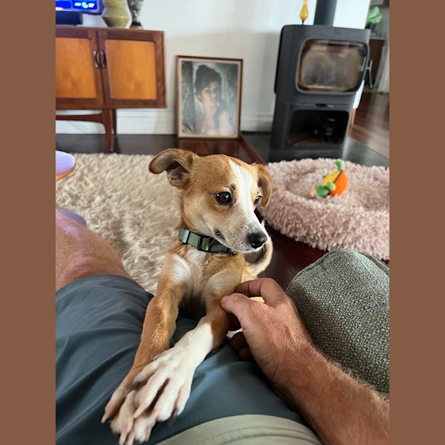 Photo of Buddy