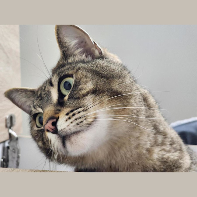 Photo of 🫶 Rudy 6712 🫶