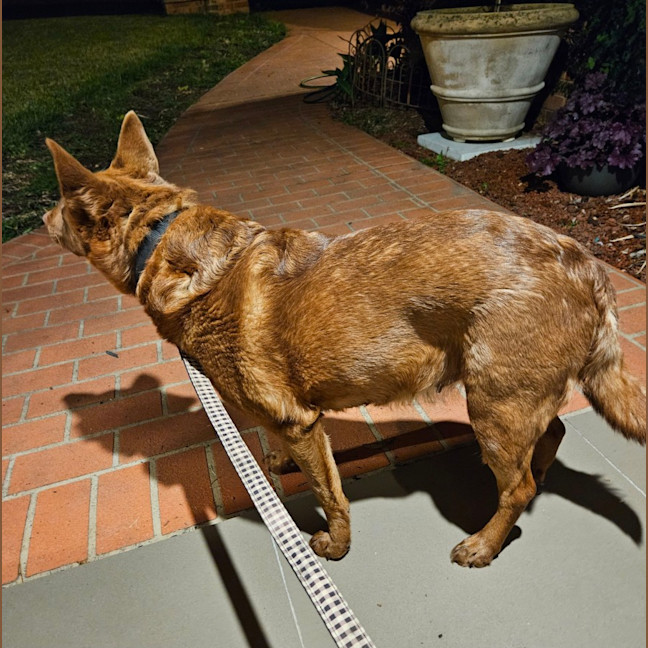 Photo of Sasha