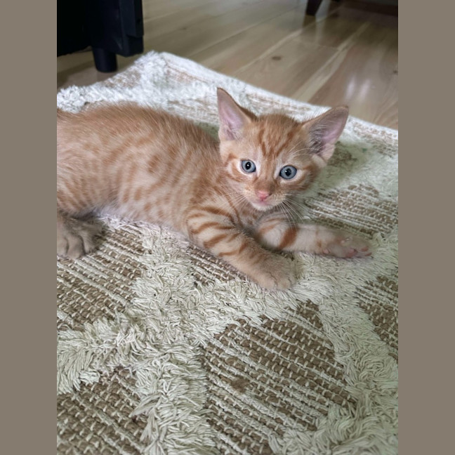 Photo of Gus