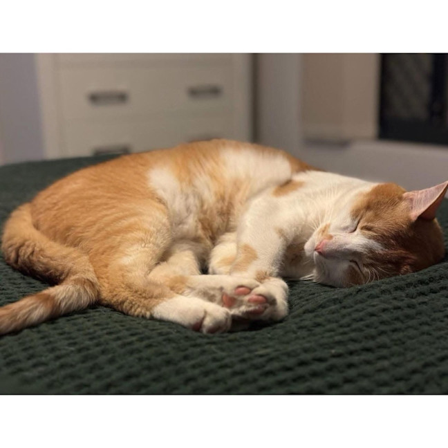 Photo of 5340   Natsu