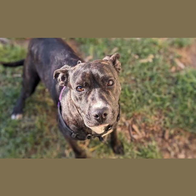 Photo of Beanie