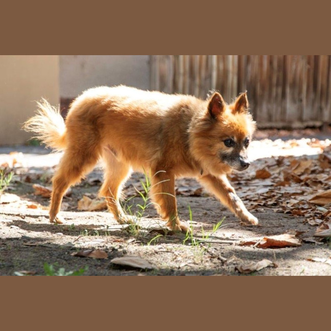 Photo of Maxy O’cleary