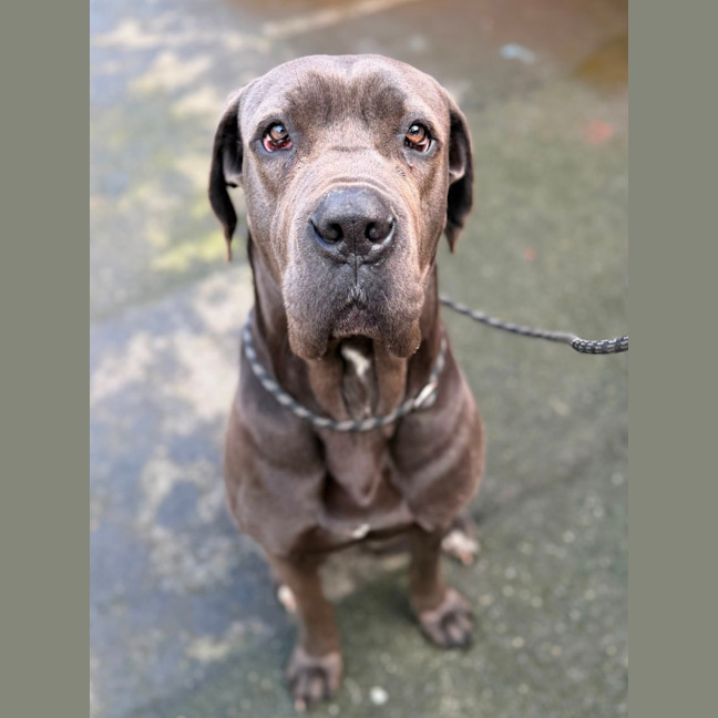 Photo of Zelda