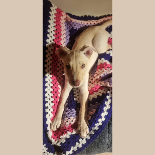 Photo of Bubble
