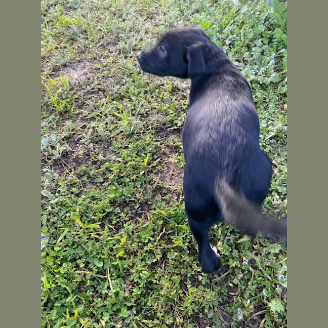 Photo of Stormy