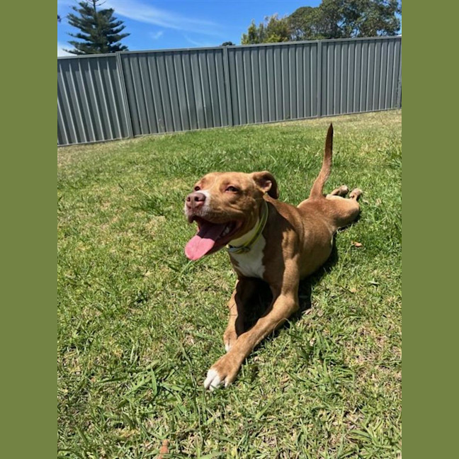 Photo of Trix
