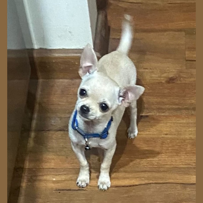 Photo of Pablo