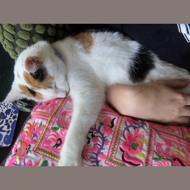 Photo of Sigrid