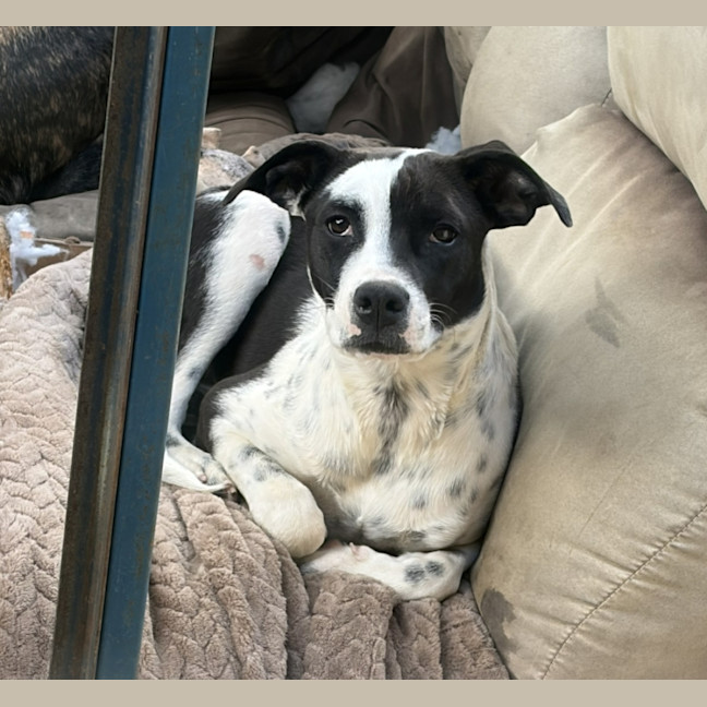 Photo of Jessie