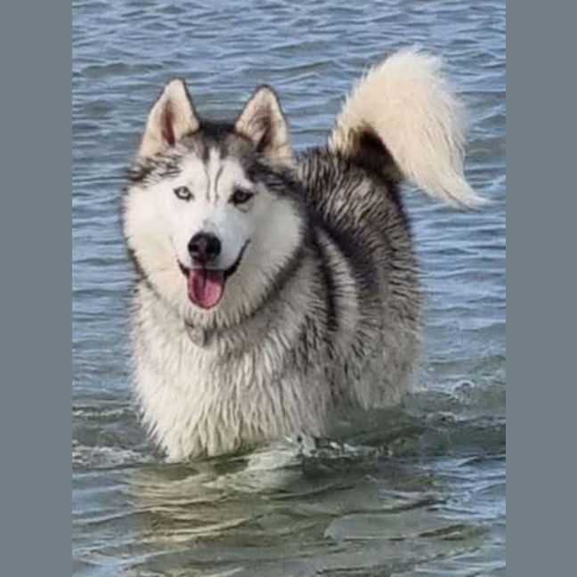 Photo of Ghost & Mirri