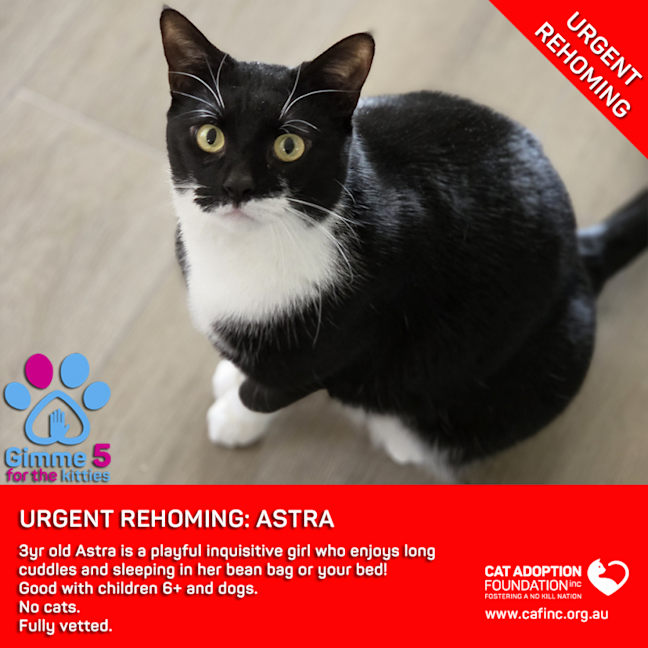 Photo of Astra