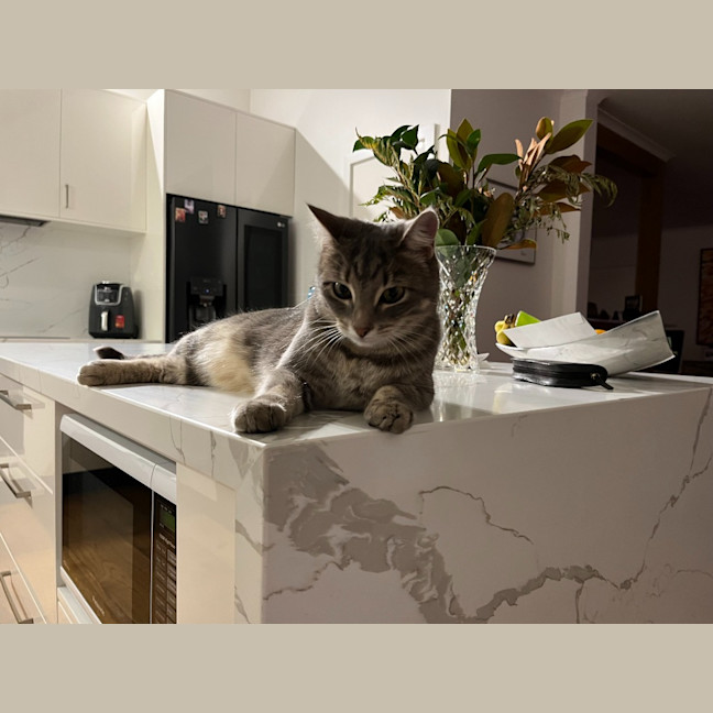 Photo of Lexi & Cara