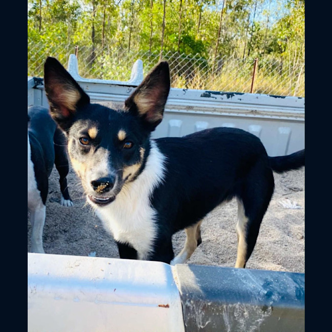 Photo of Pg (Pretty Girl)