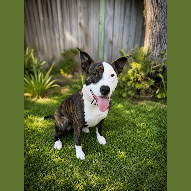 Photo of Lily