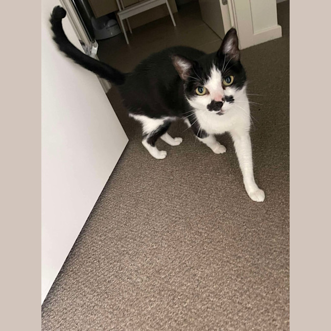 Photo of Missy 