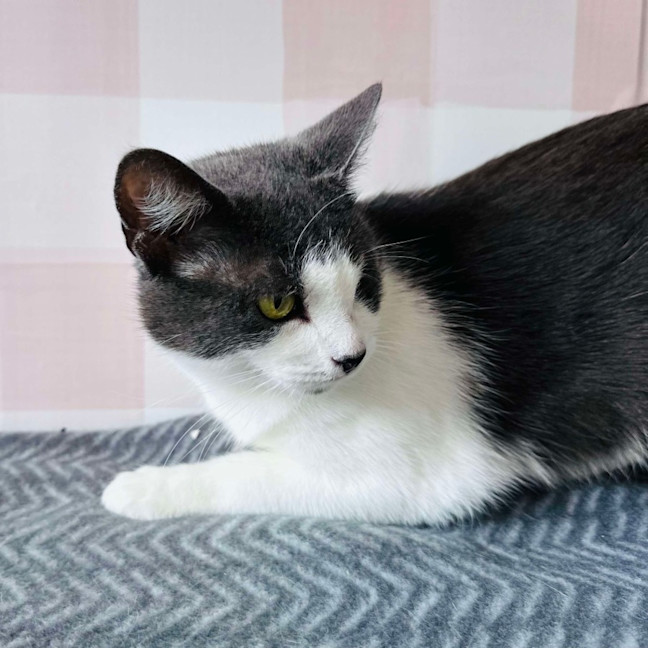 Photo of Bonnie   Located In Preston