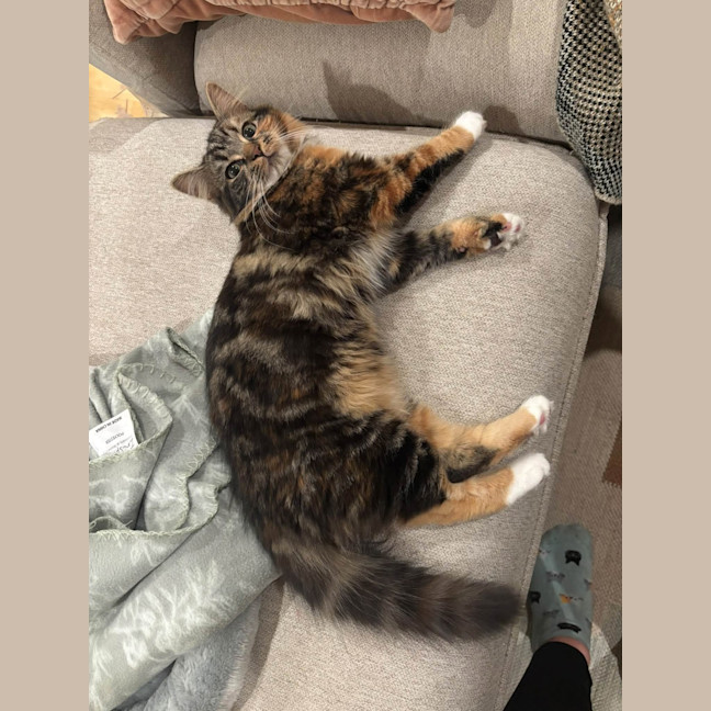 Photo of Pearl