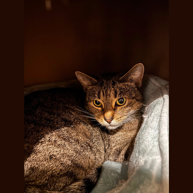 Photo of Cleo