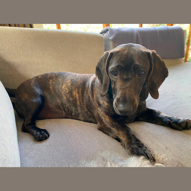 Photo of Elsa