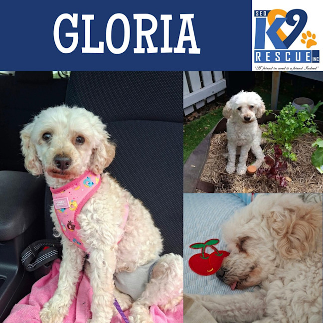 Photo of Gloria