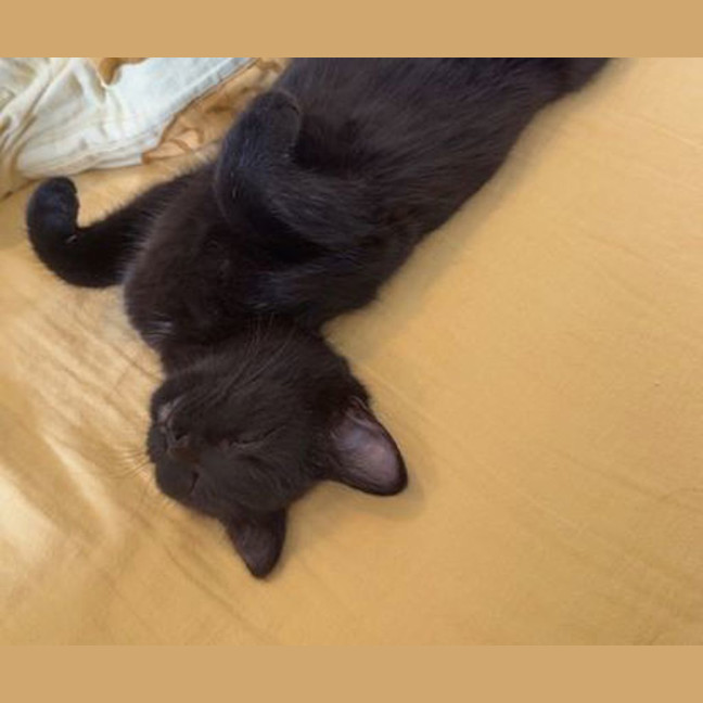 Photo of Kiwi