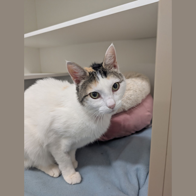 Photo of Thelma