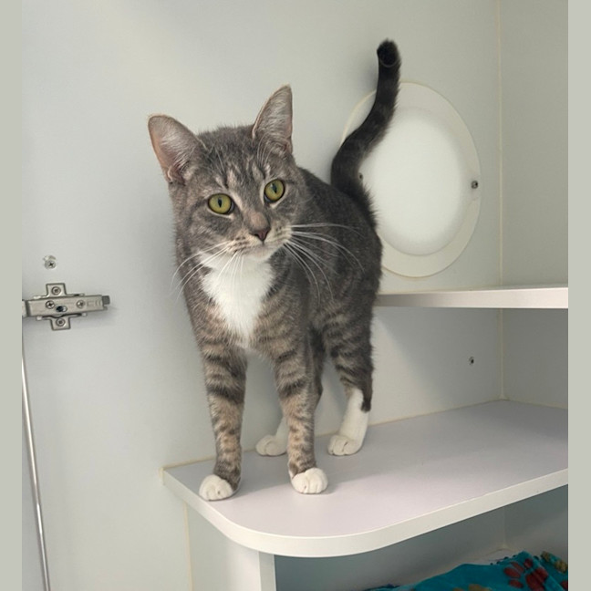 Photo of Molly