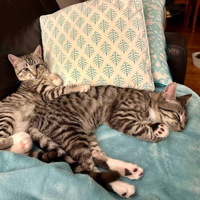 Photo of Peter And Brock