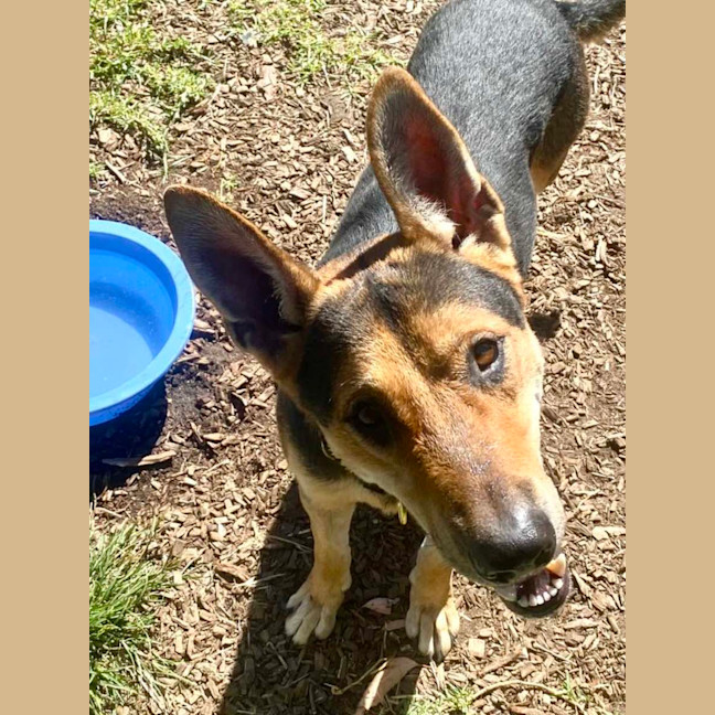 Photo of Thor