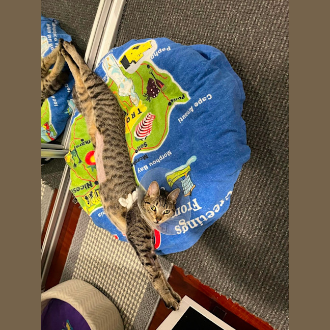 Photo of ❤️ Sarah ❤️`