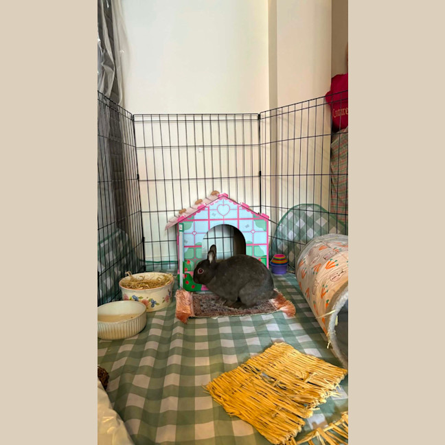 Photo of Colby