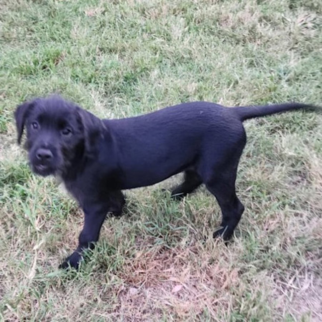 Photo of Hattie