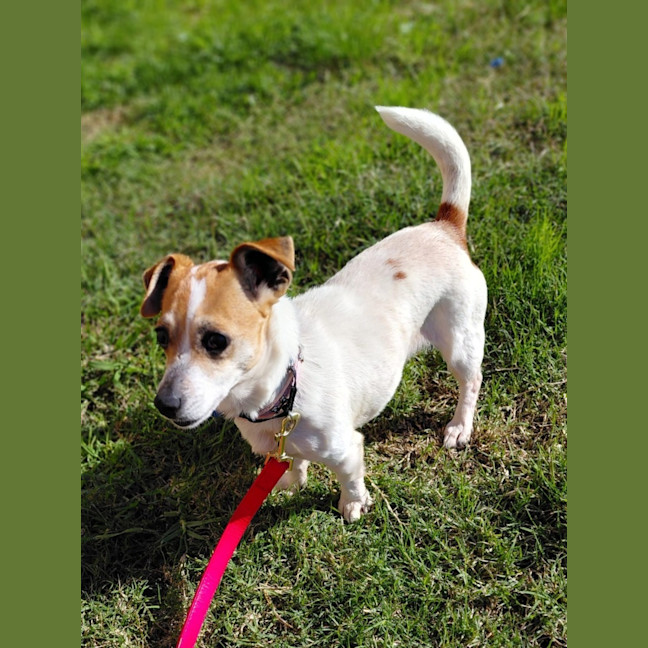 Photo of Dora