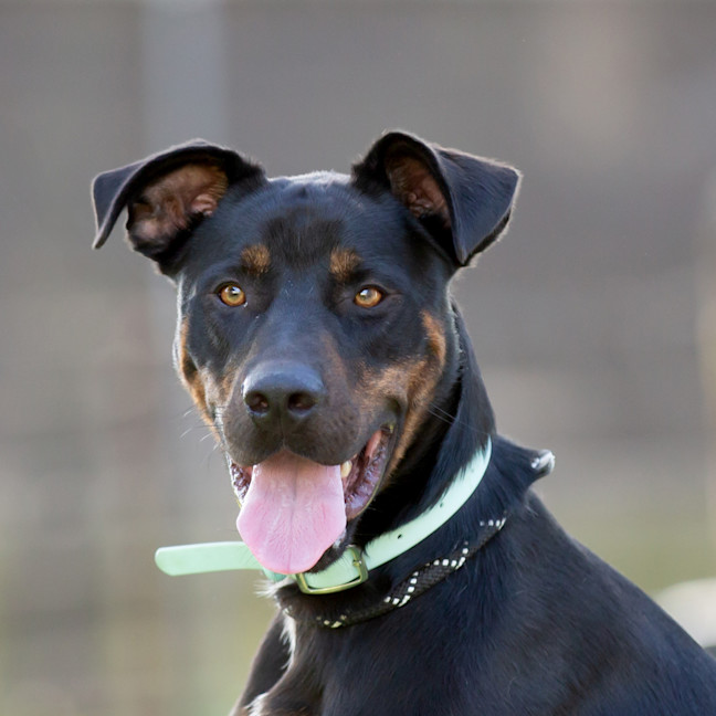 Photo of Blue