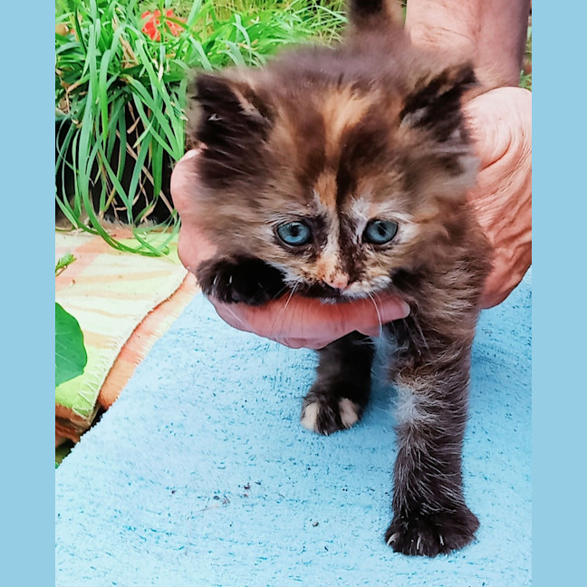 Photo of Eloise